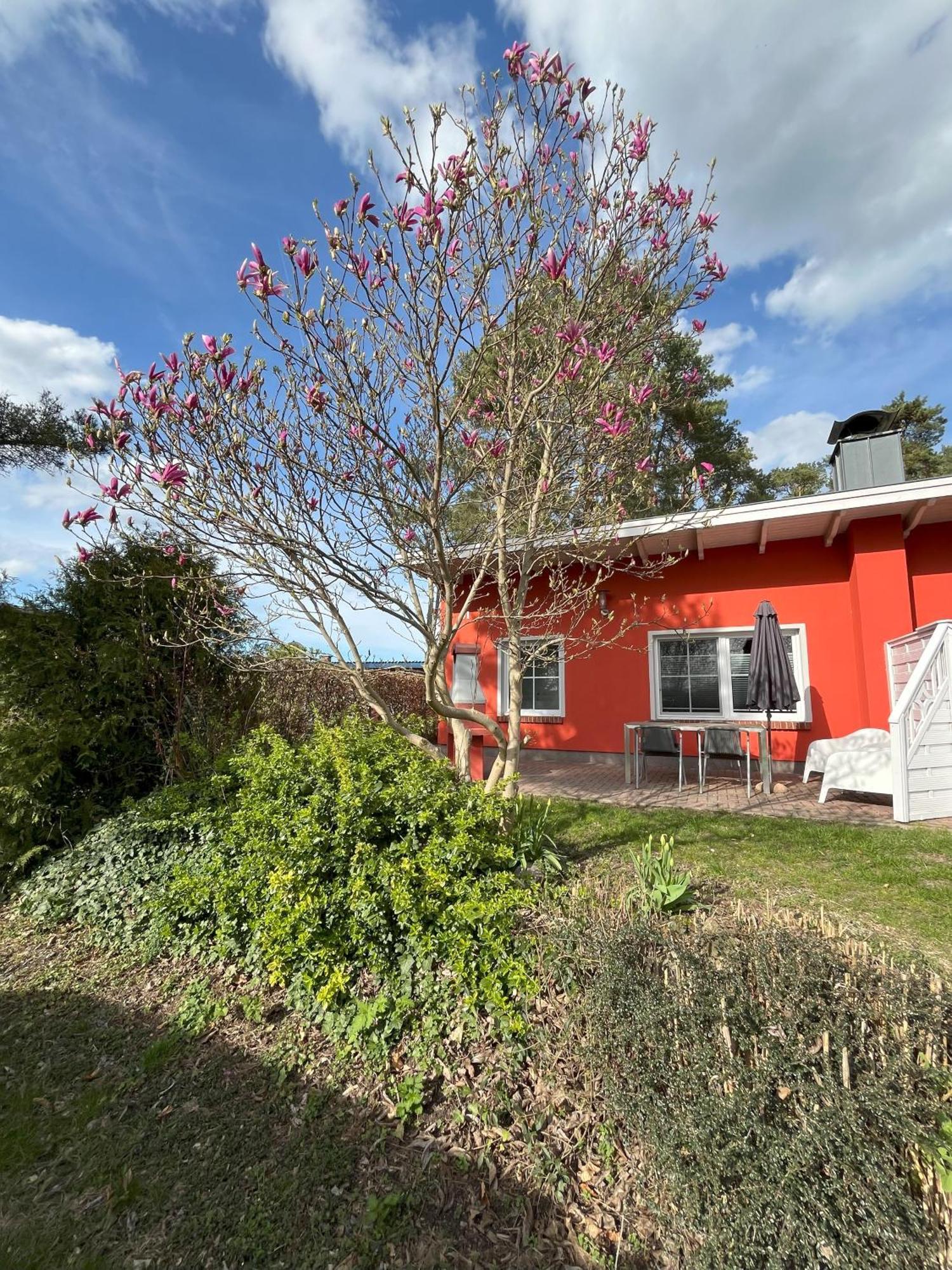 Kuestenferienhaus Nr. 91/92 Hébergement de vacances